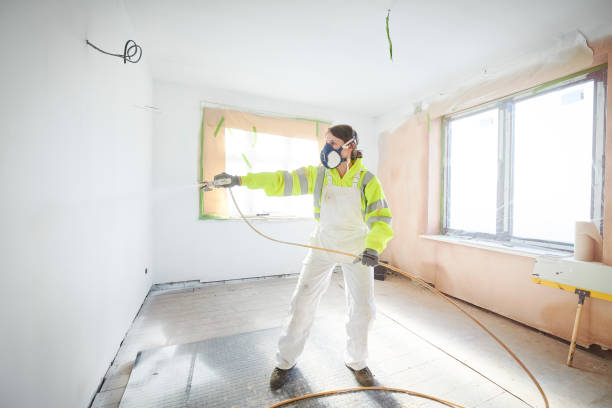 Best Mold Odor Removal Services  in St Anthony, ID
